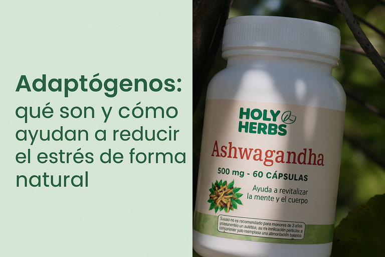 Adaptógenos: qué son y cómo ayudan a reducir el estrés de forma natural